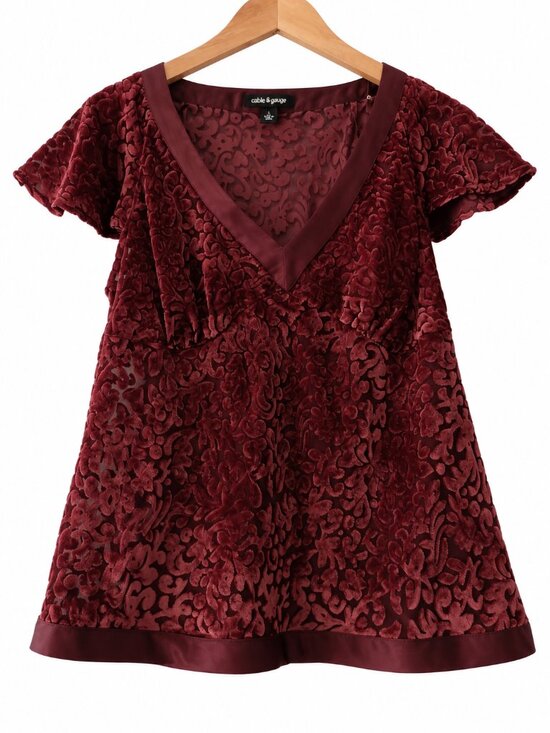Daisy Fuentes Tops - Daisy Fuentes Burgundy Burnout Velvet V Neck Top Fairycore Romantic M